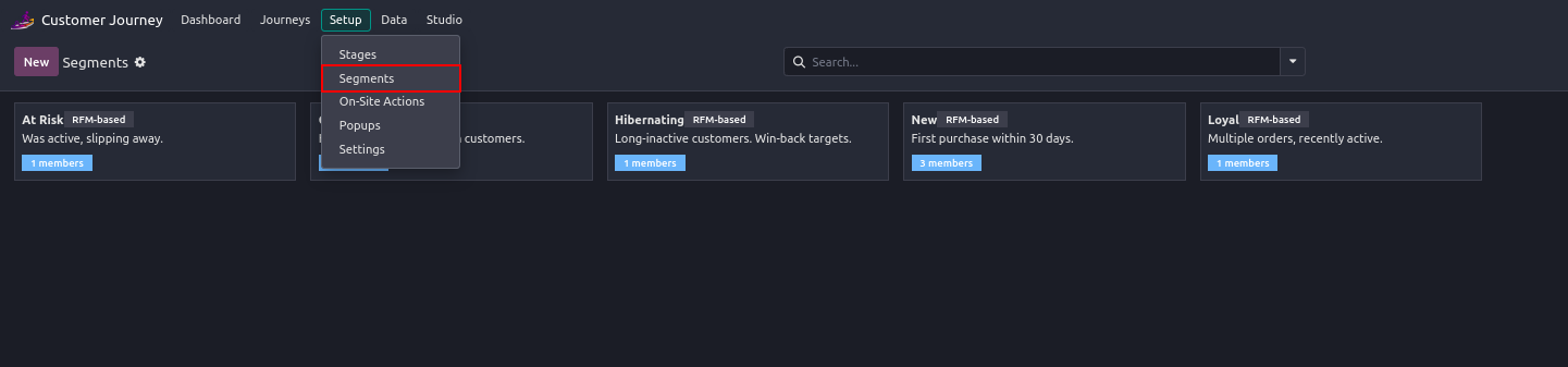 Customer segments in Odoo showing RFM-based groups: At Risk, Hibernating, New, and Loyal