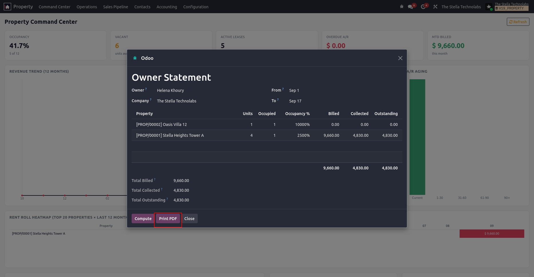 Owner statement wizard with per-property totals